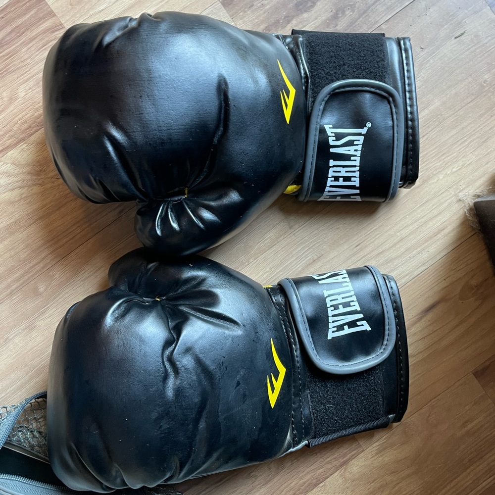 Everlast boxing gloves
